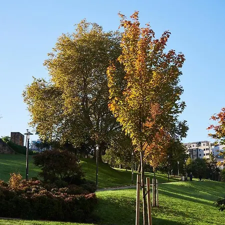 Oktheway Oza Park